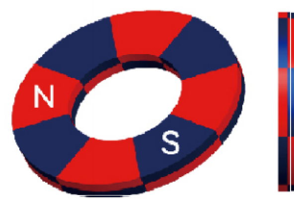 Esquema de imanación: Multi Axially Magnetized — Ring magnets